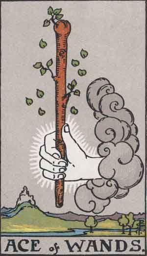 Rider Waite Smith Ace of Wands tarot card
